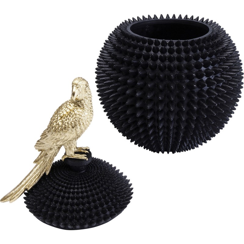 boite perroquet kare design