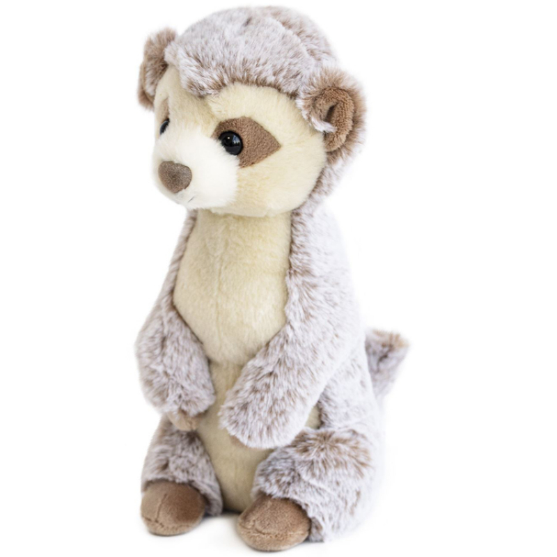 suricate histoire d'ours