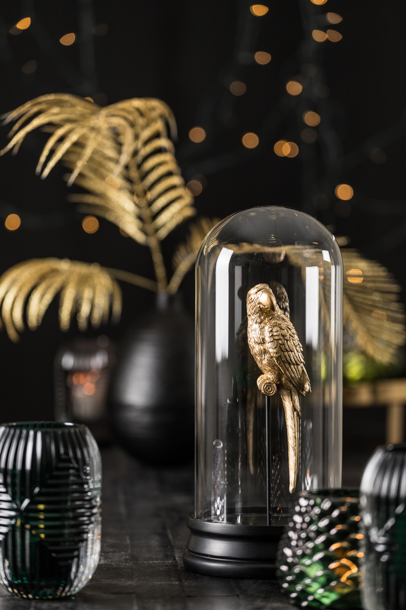 déco perroquet sous cloche
