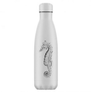 Chilly's bottle hippocampe