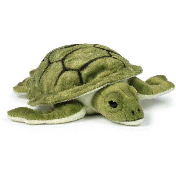 Peluche wwf tortue