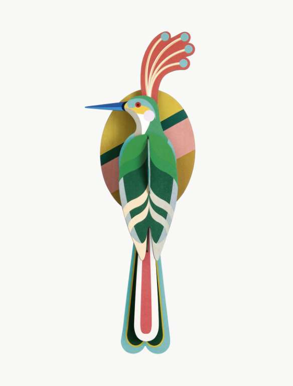 oiseau du paradis nias Oiseau du paradis mural