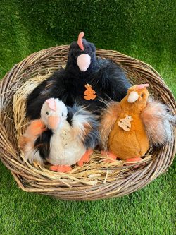 Peluche poules histoire d'ours