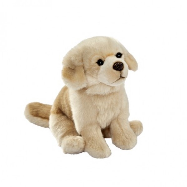 peluche golden retriever