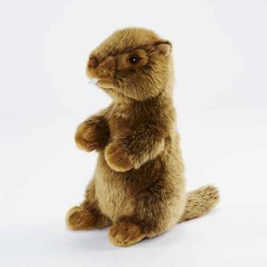 peluche marmotte anima