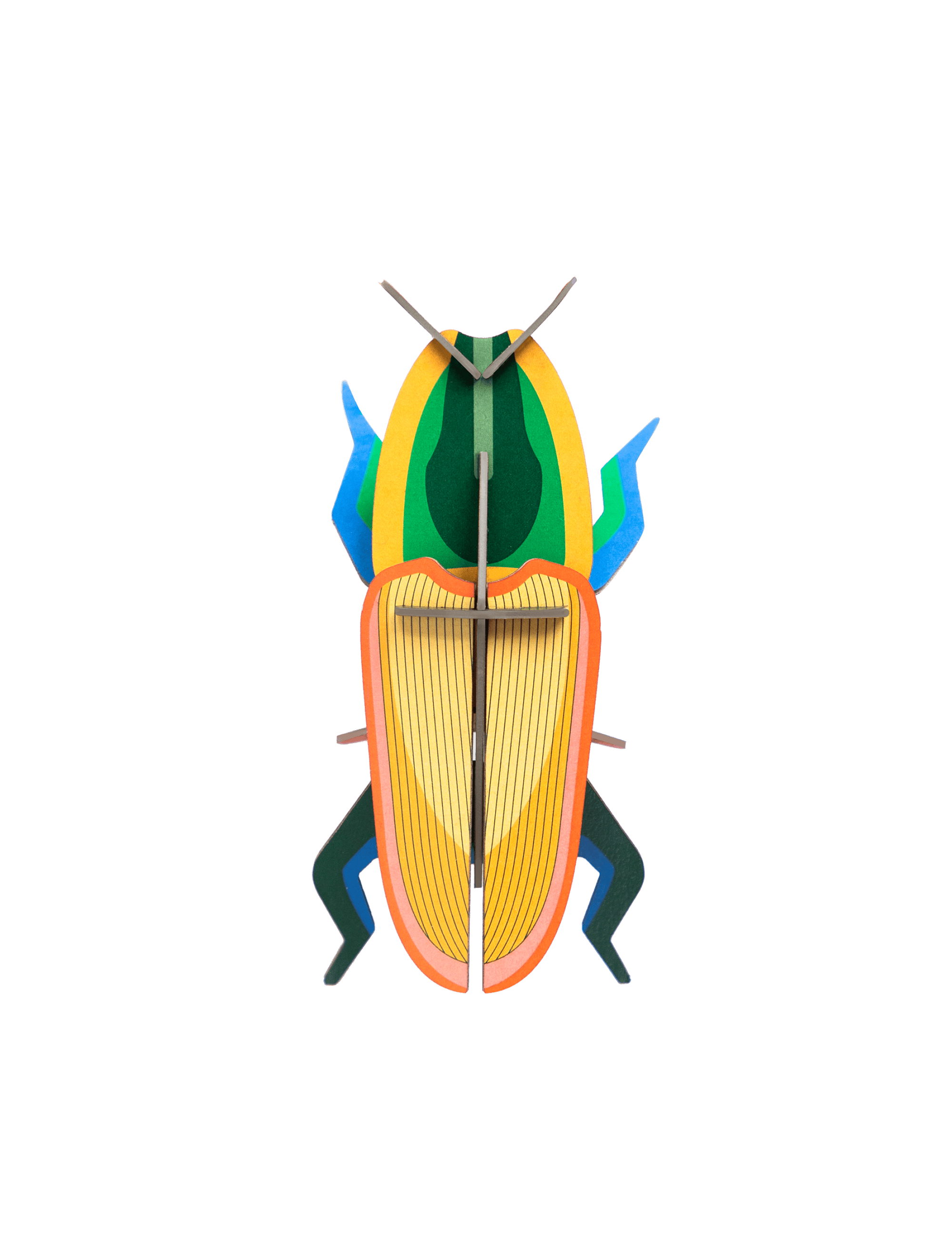 madagascar-beetle-website-product-picture-nobg-1706790483