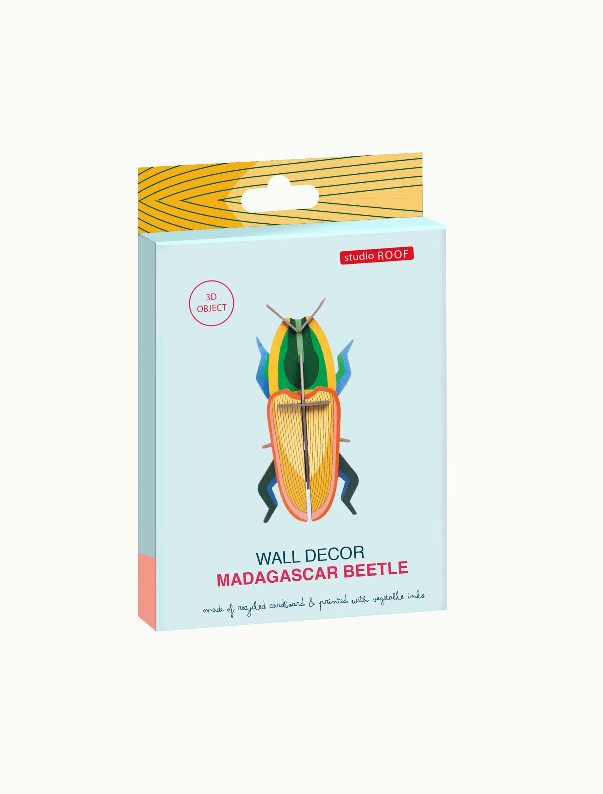 madagascarbeetle-scaled-1