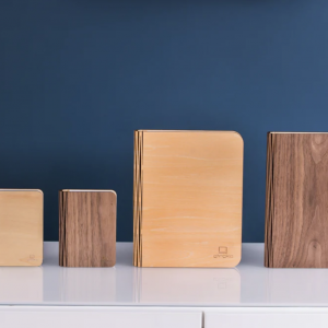 Livre lumineux bois clair - Maxi