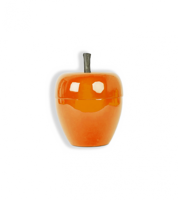 Bac à Glaçon orange (XS)