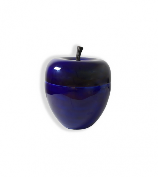 Bac à Glaçon - Bleu (XS)