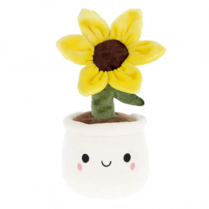 Tournsesol mignon