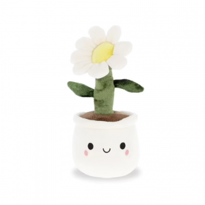 Pâquerette Mignonne