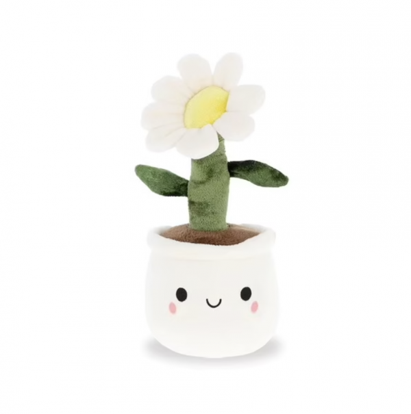 Pâquerette Mignonne