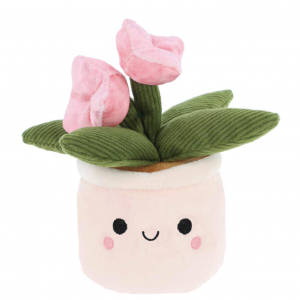 Tulipe Mignonne