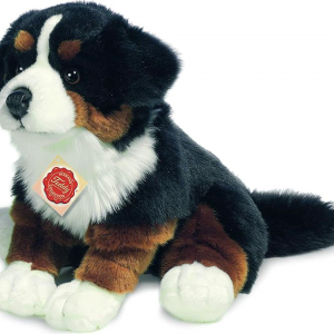 Bouvier Bernois Assis - 25 cm