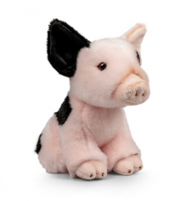 Petit cochon Bicolore